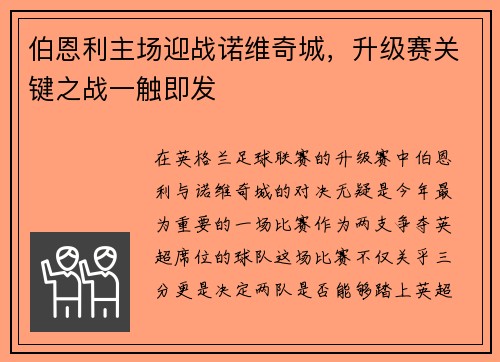 伯恩利主场迎战诺维奇城,升级赛关键之战一触即发 伯恩利主场迎战诺维奇城,升级赛关键之战一触即发